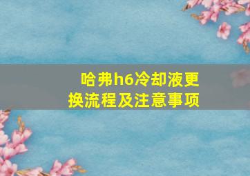 哈弗h6冷却液更换流程及注意事项