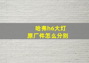 哈弗h6大灯原厂件怎么分别