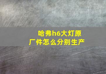 哈弗h6大灯原厂件怎么分别生产