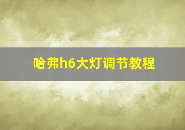 哈弗h6大灯调节教程