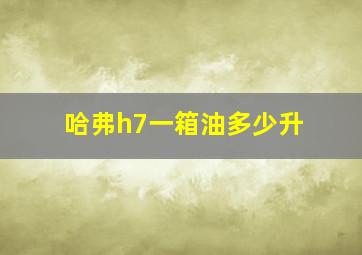 哈弗h7一箱油多少升