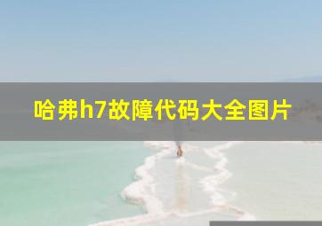 哈弗h7故障代码大全图片