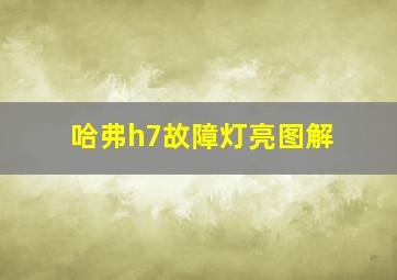 哈弗h7故障灯亮图解