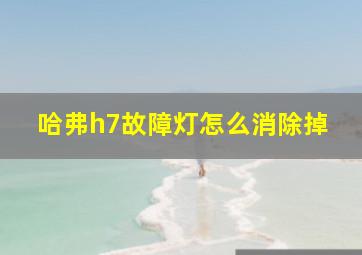 哈弗h7故障灯怎么消除掉