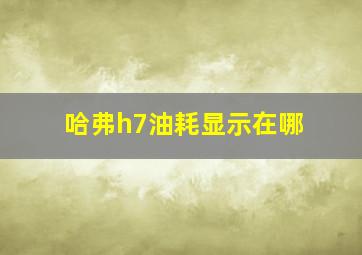 哈弗h7油耗显示在哪