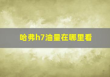 哈弗h7油量在哪里看