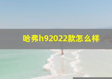 哈弗h92022款怎么样