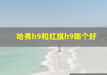 哈弗h9和红旗h9哪个好