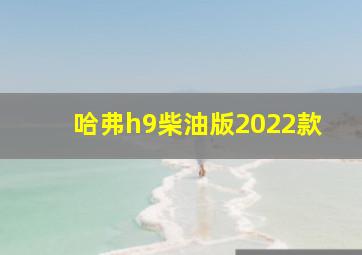 哈弗h9柴油版2022款