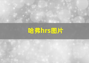 哈弗hrs图片