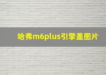 哈弗m6plus引擎盖图片