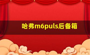 哈弗m6puls后备箱