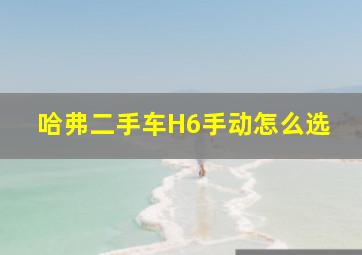 哈弗二手车H6手动怎么选