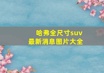 哈弗全尺寸suv最新消息图片大全