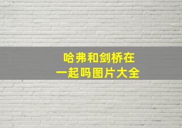 哈弗和剑桥在一起吗图片大全