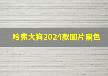 哈弗大狗2024款图片黑色