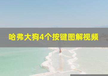 哈弗大狗4个按键图解视频