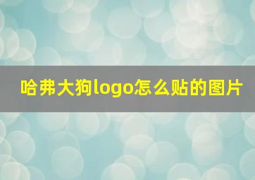 哈弗大狗logo怎么贴的图片