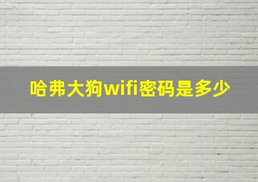 哈弗大狗wifi密码是多少