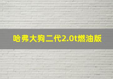 哈弗大狗二代2.0t燃油版