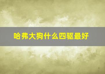 哈弗大狗什么四驱最好