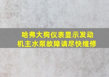 哈弗大狗仪表显示发动机主水泵故障请尽快维修