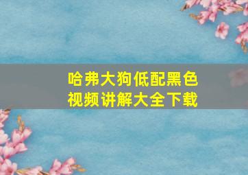 哈弗大狗低配黑色视频讲解大全下载