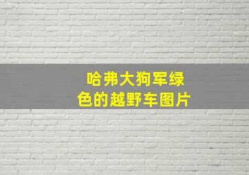 哈弗大狗军绿色的越野车图片