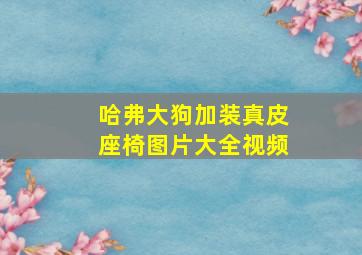 哈弗大狗加装真皮座椅图片大全视频