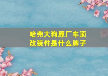 哈弗大狗原厂车顶改装件是什么牌子