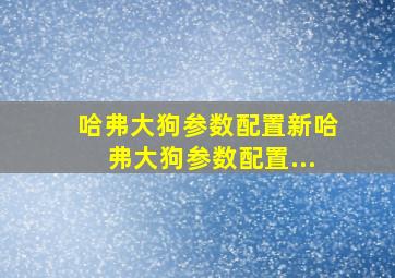 哈弗大狗参数配置新哈弗大狗参数配置...