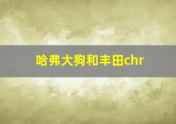 哈弗大狗和丰田chr