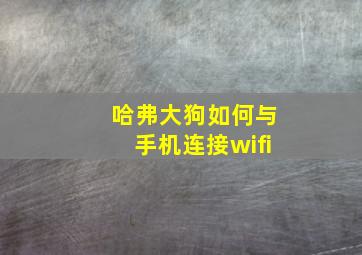 哈弗大狗如何与手机连接wifi