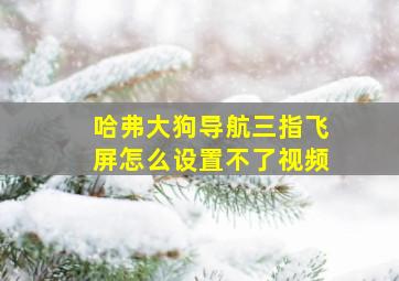 哈弗大狗导航三指飞屏怎么设置不了视频