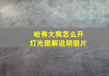 哈弗大狗怎么开灯光图解说明图片