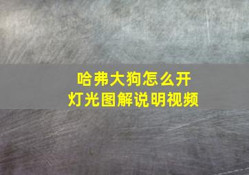 哈弗大狗怎么开灯光图解说明视频