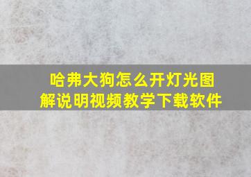 哈弗大狗怎么开灯光图解说明视频教学下载软件