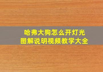 哈弗大狗怎么开灯光图解说明视频教学大全