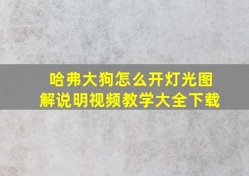 哈弗大狗怎么开灯光图解说明视频教学大全下载