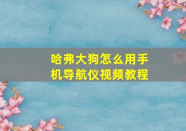 哈弗大狗怎么用手机导航仪视频教程