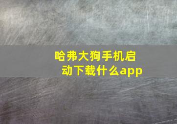 哈弗大狗手机启动下载什么app