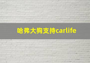 哈弗大狗支持carlife