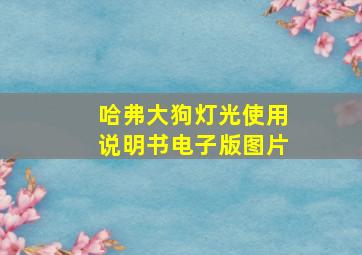 哈弗大狗灯光使用说明书电子版图片