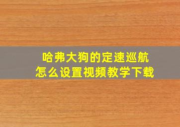 哈弗大狗的定速巡航怎么设置视频教学下载