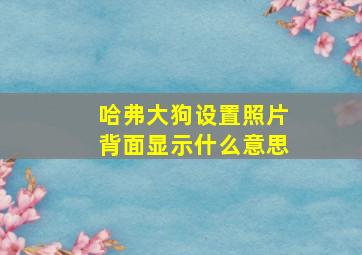 哈弗大狗设置照片背面显示什么意思