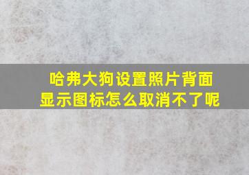 哈弗大狗设置照片背面显示图标怎么取消不了呢