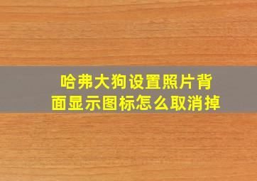 哈弗大狗设置照片背面显示图标怎么取消掉