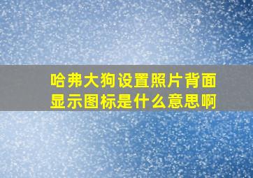 哈弗大狗设置照片背面显示图标是什么意思啊