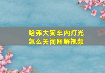 哈弗大狗车内灯光怎么关闭图解视频