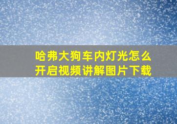 哈弗大狗车内灯光怎么开启视频讲解图片下载